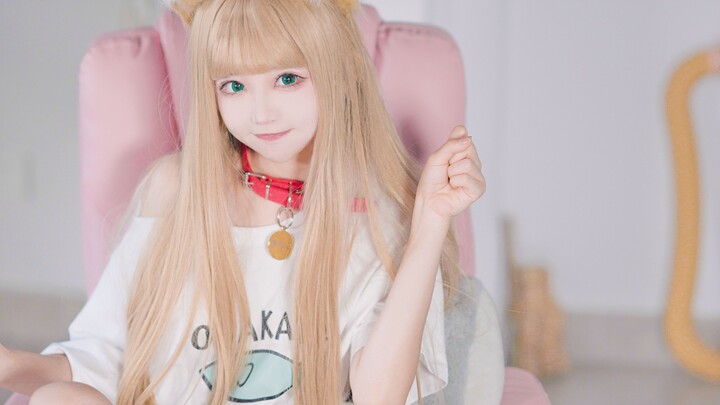 Tuan! Lihat nih, kucingmu berubah jadi gadis cantik~ | Ketergantungan pada kucing nih~