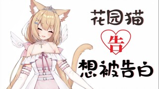 【十分钟看猫猫】猫猫也想被告白