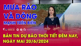 Bản tin Dự báo thời tiết đêm nay, ngày mai 20/06/2024: Mưa rào và dông mạnh trên biển