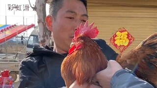 不要猪的那一刻老板是真懵了