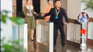 尾 ｜ 龙天鹅