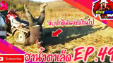 คลิปตลกต่างประเทศ ทั้งขำและสงสาร Best the Fails 2020