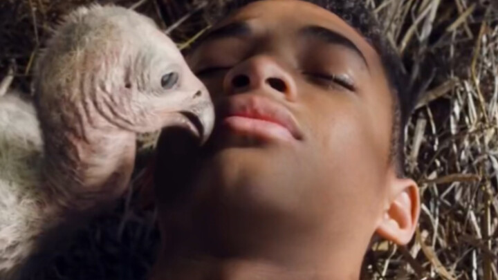 A Man Who Fell Into an Eagle’s Nest Fights a Mighty Tiger to Protect the Hatchlings #（Part 2）