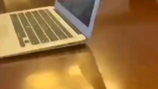 บริษัทจัดเลี้ยงซินเฉิงต๋าในเทียนจินถูกปรับ 1 ล้านหยวน ผู้ปกครองคนนี้เจ๋งมาก! มีเหตุผล มีหลักฐาน และม