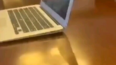 天津欣程达配餐公司被罚100万。这个家长太飒了！有理有据有节！这样的口才深深的让家长们明白读书的重要性，保护下一代国家才有未来！