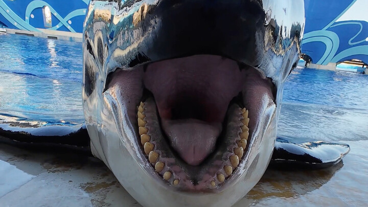 ถึงเวลาเตรียมผ้าถูตัวให้พังหูแล้ว!