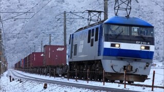 ゆきのワンダーランド