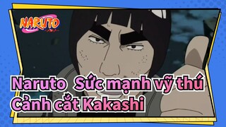 Naruto: Sức mạnh vỹ thú
Cảnh cắt Kakashi_C