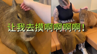 There's actually a capybara café!