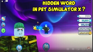 HIDDEN WORLD IN PET SIMULATOR X ?