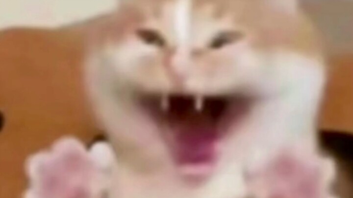 Mu hehehe~