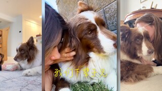 我们下辈子见吧💗