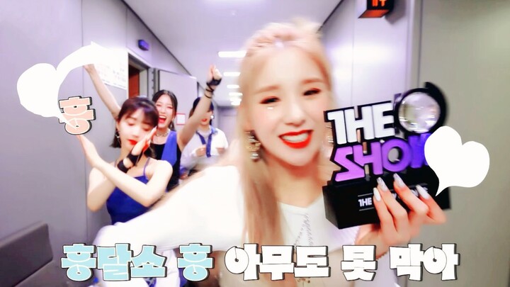 [LOOΠΔ 4K] 🔥 After winning first place for the new song promotion—The Show celebratory live!