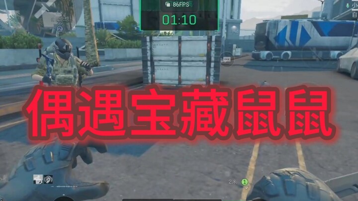 Bất ngờ gặp chuột quý hiếm