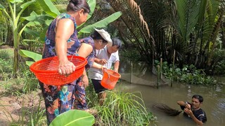 Mùa Này Cá Bống Trứng Về Thấy Ham Cả Gia Đình Rủ Nhau Ra Vườn Đi Đổ Lú | TKQ & Family T1016