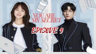 You Are My Secret ep 9 (sub indo)