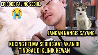 Astagfirullah Kucing Helma Sedih Lagi Sakit Akhirnya Di Rawat Di Dokter..!