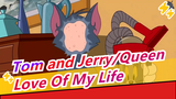 [Tom and Jerry/Queen]Love Of My Life