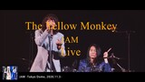 Konser Live JAM - The Yellow Monkey - Tokyo Dome, 2020.11.3-