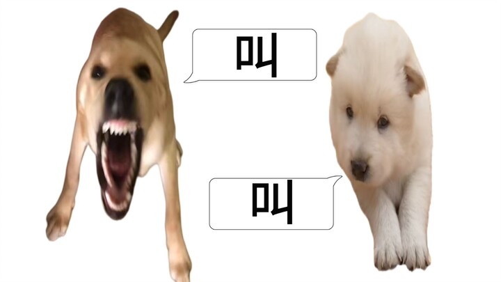 Anjing besar? Anjing kecil? GONGGONG!!!!!