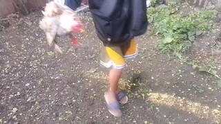 win kanqn ala sugat