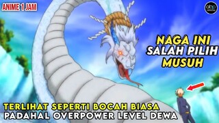 DIKIRA BOCAH BIASA PADAHAL TITISAN DEWA - MC TERLALU OVERPOWER _ ALUR CERITA MONDAIJI TACHI ISEKAI