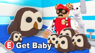 Adopt Me Baby Pets Update Coming Soon?