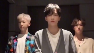 【SEVENTEEN】2gg带娃记