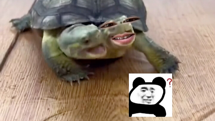 “Ai ăn cũng như nhau”