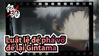 Luật lệ để phá vỡ| Kiếm gỗ chém xuống, để lại Gintama