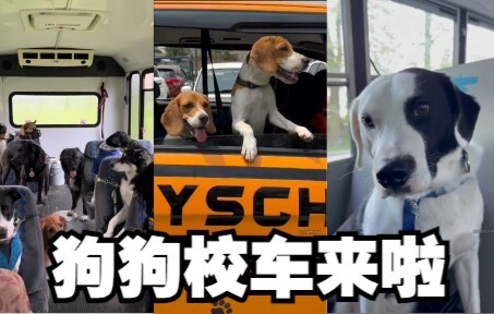 รถโรงเรียนสุนัขออกเดินทางแล้ว! แม่รีบหน่อยสิ ลูกรักจะไปโรงเรียนสายแล้ว~
