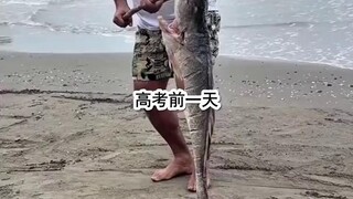 6.5重生高考前，我冷眼看学霸们将自己的未来断送2.mp4