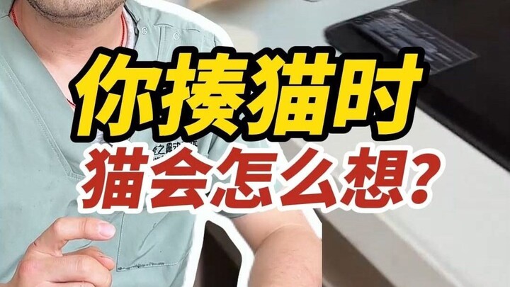 Will a cat hate you after getting beaten?