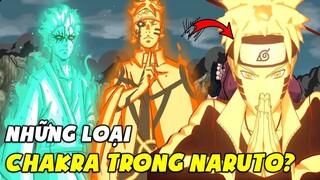 Nguồn Gốc Của Chakra? - Khởi Nguồn Của Mọi Nhẫn Thuật trong Naruto