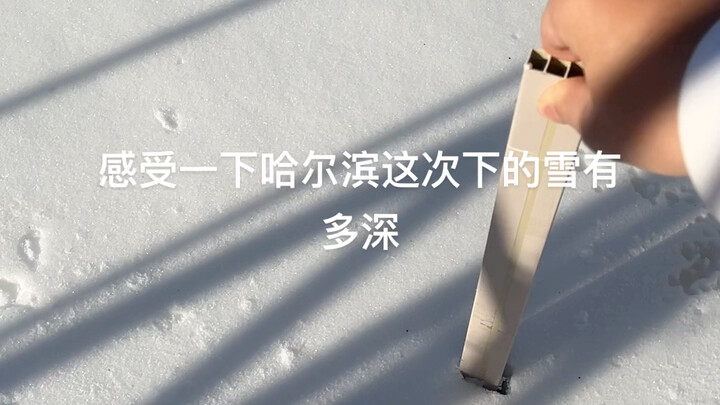 The Snow in Harbin