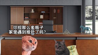 《塑料瓶的救赎》