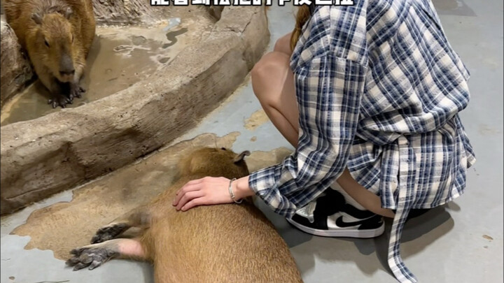 أتمنى ألا تكون آخر من يعرف بهذا المكان...