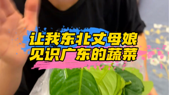 ผักใบเขียวของกวางตุ้งมันบ้าบอขนาดไหน