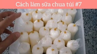 Cách làm sữa chua túi p7