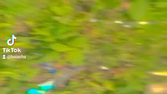 yang follow semoga masuk surga amin