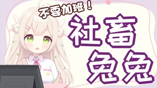 社畜兔兔的烦恼
