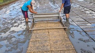 情义相拥一滴水，人生相遇一份情；心性相近一知己，缘分结下一生情；让友谊友情同在，让健康幸福同行。早上好！[