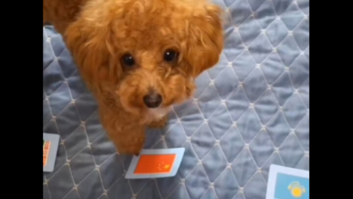 Đây là Trung Quốc. Đây là Kazakhstan. Đây là Belarus. Đây là Nga. Nhớ kỹ chưa?