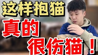 这样抱猫，真的很伤猫