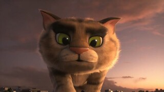 Chú Mèo Đi Lạc 2009