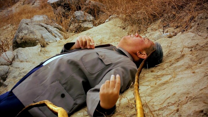 ชีวิตปกติถูกแมลงยักษ์โจมตีอย่างรุนแรง ความดราม่าแห่งมนุษยธรรม