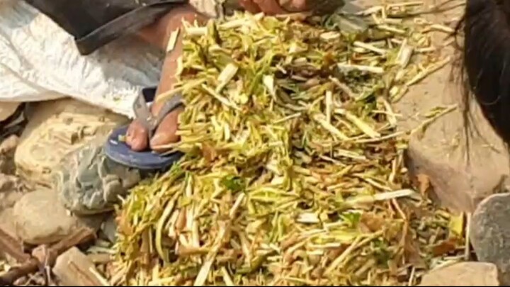 duwali fishing in Nepal |