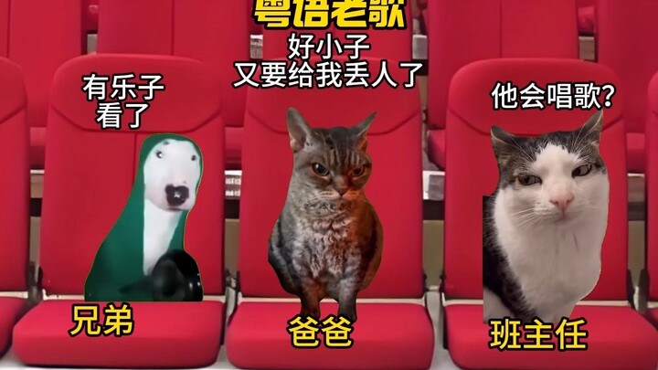 当爸爸来看你参加比赛你唱粤语老歌