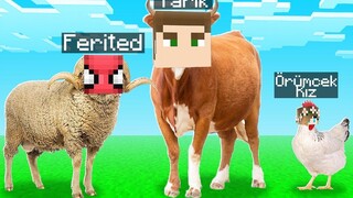 สังเวยสังเวย 🐑 - Minecraft