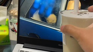 لا تبكي
